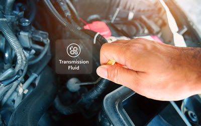 Volkswagen Transmission Fluid Check
